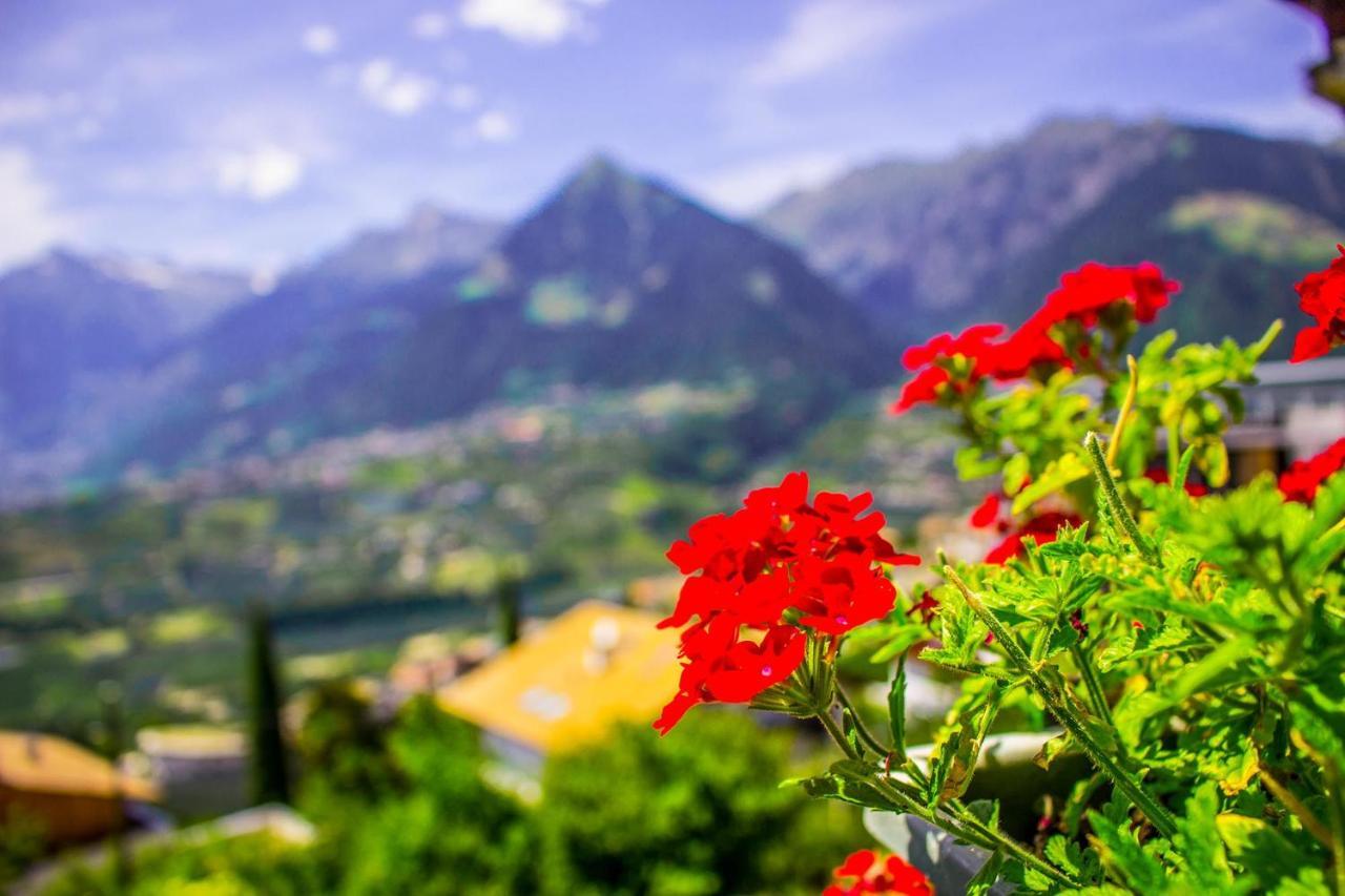 Schenna Garni Eden Bed&Breakfast Exterior foto