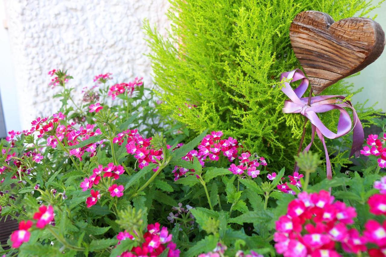 Schenna Garni Eden Bed&Breakfast Exterior foto