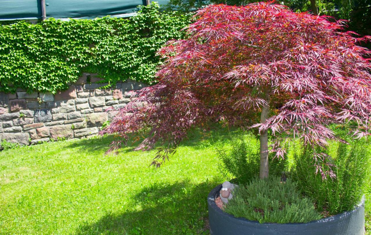 Schenna Garni Eden Bed&Breakfast Exterior foto